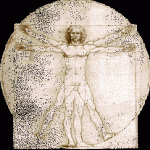 proportions-de-lhomme