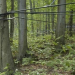 seve-qui-descend-par-gravit.jpg