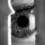 big-brother